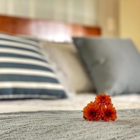 Pousada Flor De Canela Zewnętrze zdjęcie